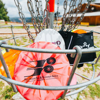 disc golf discs in basket